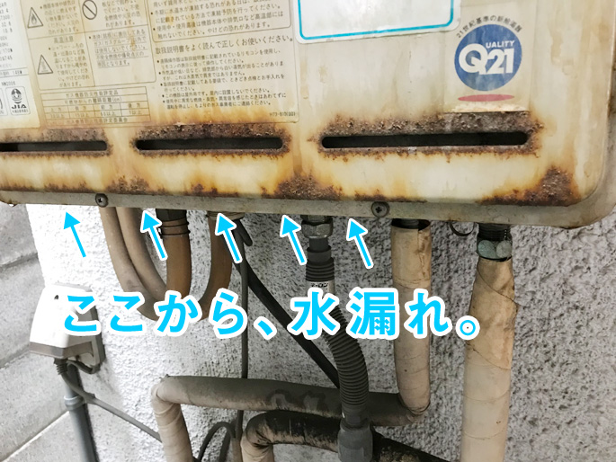 �K�X������̌̏�